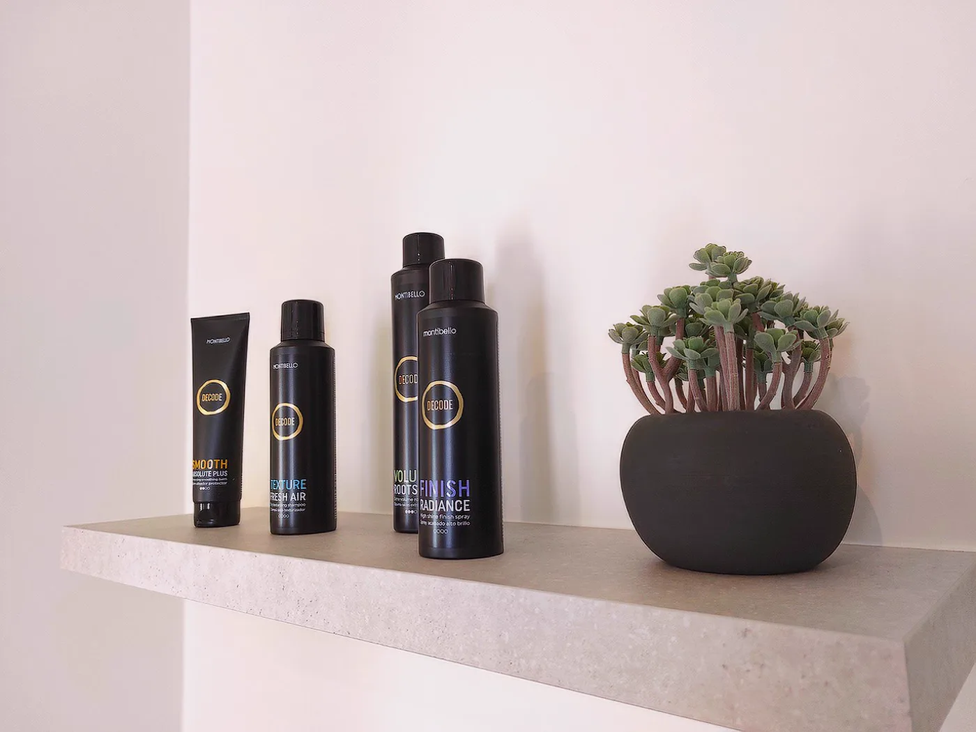 Decode-stylingproducten en een vetplant op het schap in het salon